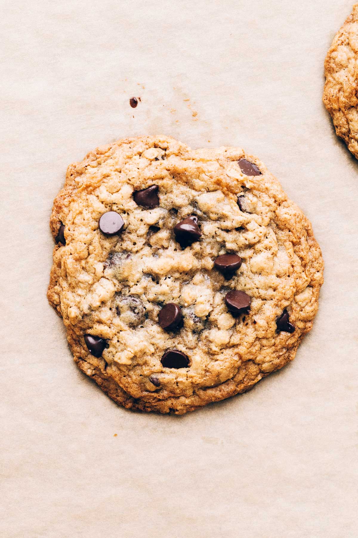 Cookie: Lg Chocolate Chip